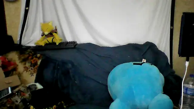 BriTheTopBear online show from April 2026 02:51:02 AM