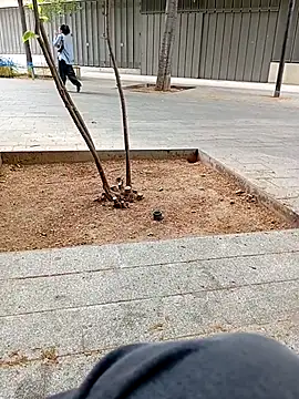 Snapshot of biga00 chatting on April 2026 03:38:02 PM biga00 online show from April 2026 03:38:02 PM