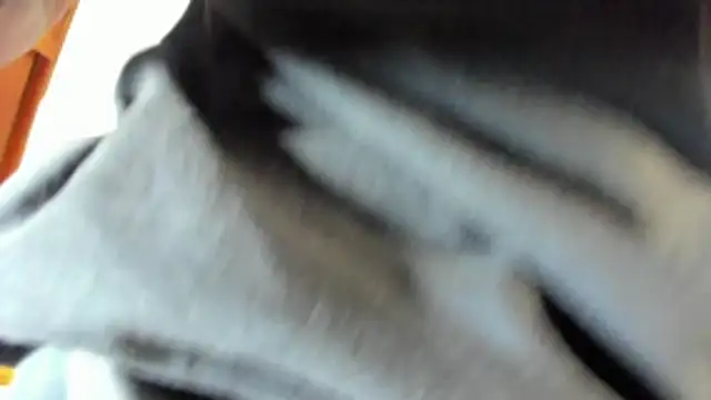 pipe monstercock online show from May 2026 08:16:02 PM