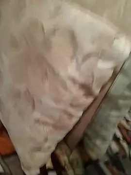 perfect vicy online show from April 2026 07:03:02 PM