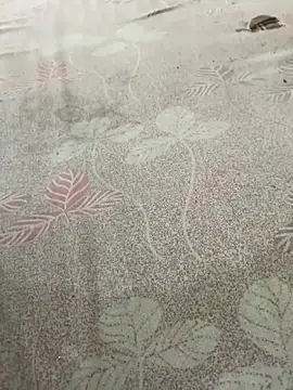 Snapshot of pujaji098 chatting on April 2026 04:07:01 AM pujaji098 online show from April 2026 04:07:01 AM