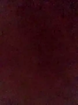 Snapshot of illdoitforetty chatting on April 2026 11:22:02 PM illdoitforetty online show from April 2026 11:22:02 PM