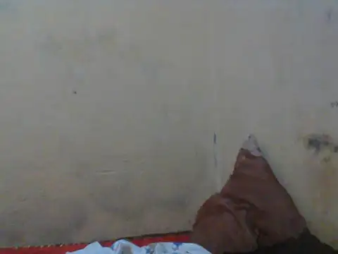 Rerpuss1 online show from April 2026 08:25:02 PM