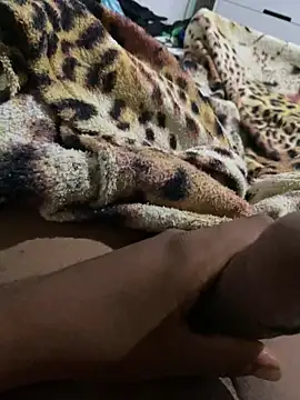 Snapshot of beibe1533 chatting on April 2026 12:48:01 AM beibe1533 online show from April 2026 12:48:01 AM