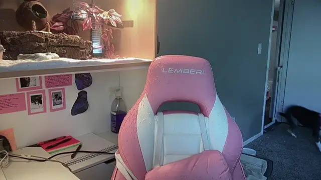 MUSCLEMOMMY1365 online show from April 2026 05:30:01 PM