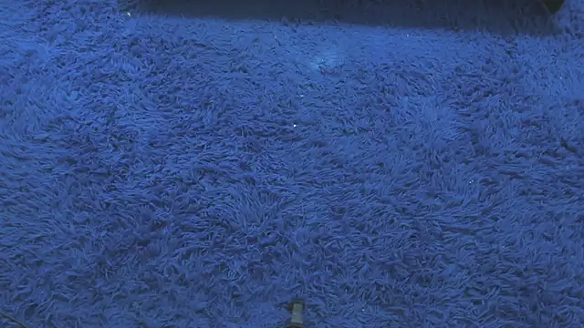 Mia-collins01 online show from April 2026 12:34:02 PM