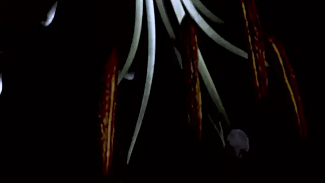 Vandaaethusa online show from April 2026 04:52:02 PM