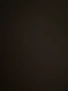 Snapshot of Barloo chatting on December 2025 08:48:02 PM Barloo online show from December 2025 08:48:02 PM