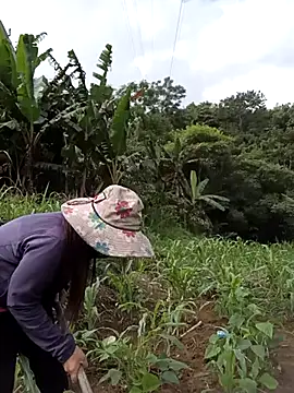 Beola-mi online show from July 2026 01:45:01 AM