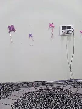 silkyhairs online show from July 2026 11:49:02 AM