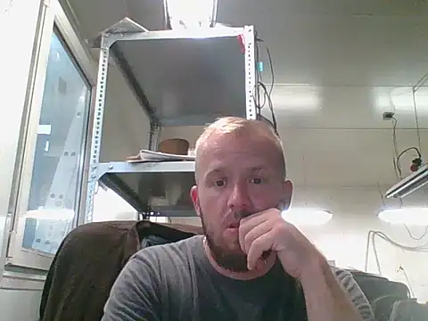 bardiauto online show from August 2026 04:22:01 AM