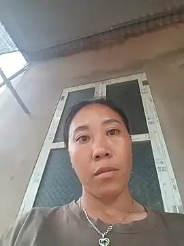 Jinli 01 online show from August 2026 11:15:02 AM