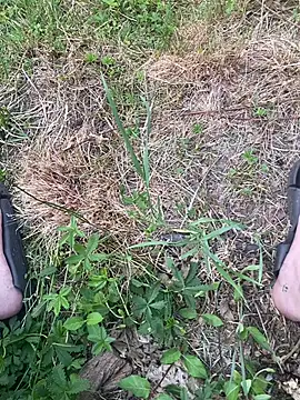 Dickmann18 online show from May 2026 08:08:02 AM