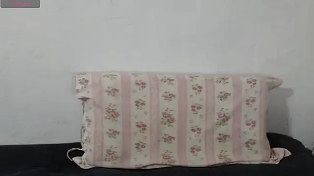 Snapshot of Brun3tt3n chatting on September 2025 03:41:02 AM Brun3tt3n online show from September 2025 03:41:02 AM