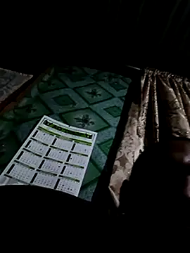 Camodick online show from February 2025 11:00:01 PM