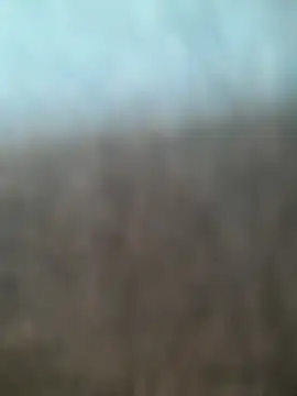 kasalsecrets online show from July 2026 05:52:01 PM