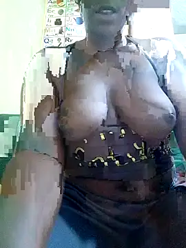 Snapshot of Chunkey4 chatting on May 2026 04:07:02 AM Chunkey4 online show from May 2026 04:07:02 AM