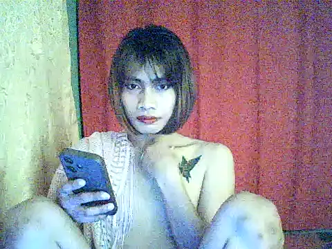 asiansugarbunny29 online show from May 2026 09:17:01 AM