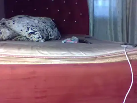 biggest black cock online show from June 2026 02:21:02 PM