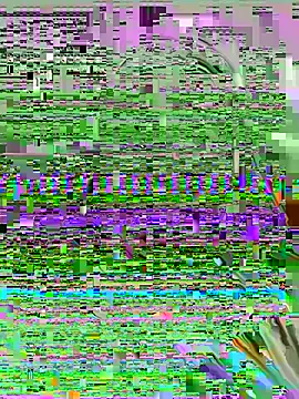 Snapshot of SashaMoo chatting on July 2026 11:07:02 PM SashaMoo online show from July 2026 11:07:02 PM