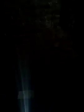 CardoSsmtz online show from July 2026 04:52:02 AM