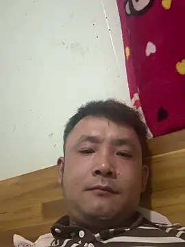 WENXING88 online show from June 2026 01:49:01 PM