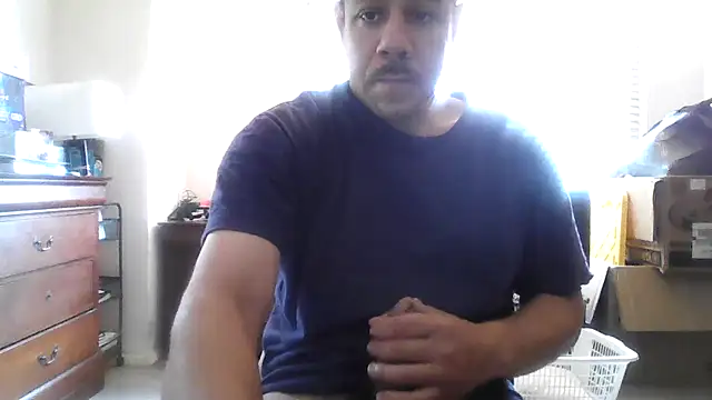 toosexy4myshirt online show from July 2026 11:47:01 AM