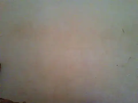 Snapshot of HomeBully chatting on June 2026 08:08:02 AM HomeBully online show from June 2026 08:08:02 AM