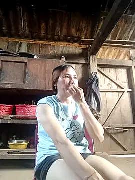 Seiciz online show from June 2026 05:31:02 AM
