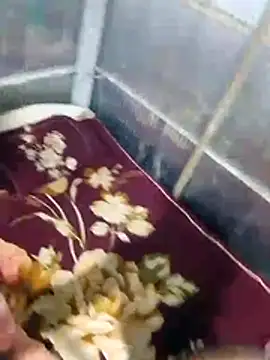 Deshi sexy online show from July 2026 08:44:02 PM