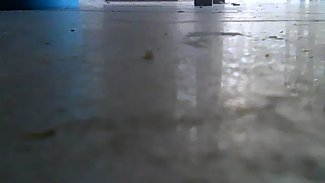 SirFrankonde online show from August 2026 12:58:02 PM