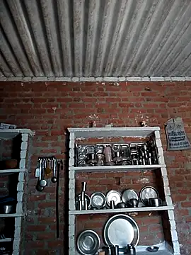 Hot shiri online show from July 2026 06:42:01 AM