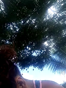 PetterRoxxy online show from July 2026 02:54:01 PM