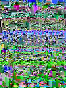 geishaspecial online show from July 2026 02:47:02 AM