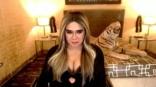 BigCumHuntersxx online show from January 2025 08:28:01 PM