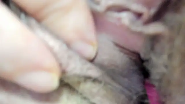 vitabox online show from September 2025 06:20:01 PM