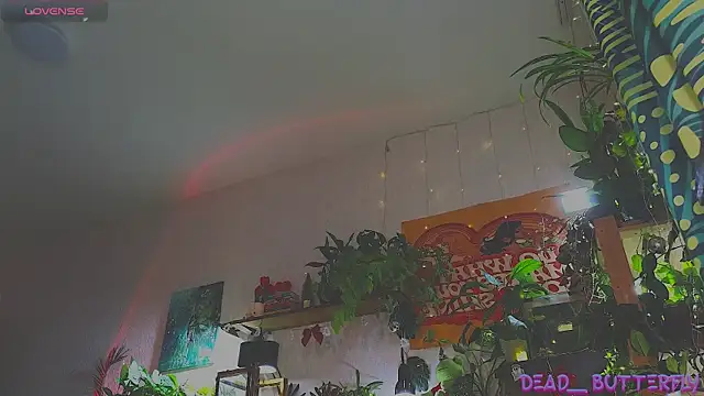 Dead Butterfly online show from December 2024 11:02:02 AM