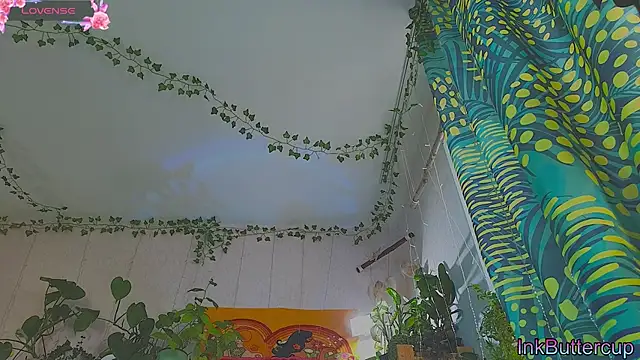 Dead Butterfly online show from September 2025 03:18:02 AM