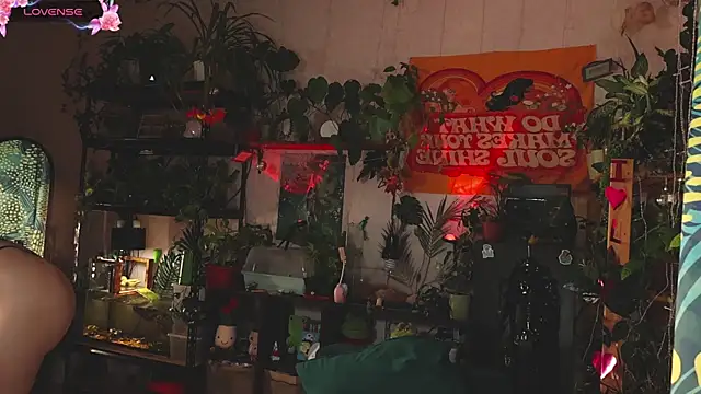 Dead Butterfly online show from November 2025 03:08:02 AM