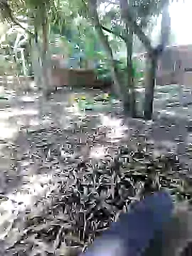 mutrox50 online show from February 2025 05:20:02 PM