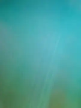 Steveschaw online show from February 2025 11:04:02 PM