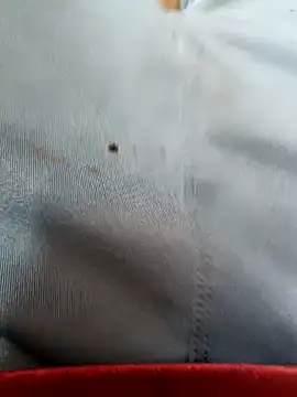 FriskyGender online show from October 2025 07:22:01 AM