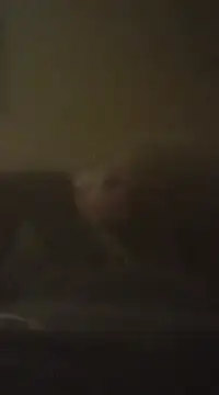 Biknight online show from December 2024 05:07:01 AM