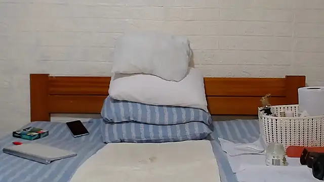 awild kitten online show from December 2024 11:45:01 AM