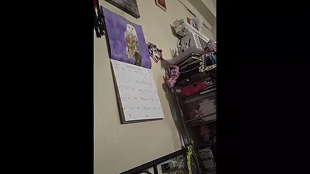 UncutHammer69 online show from September 2025 03:24:01 PM