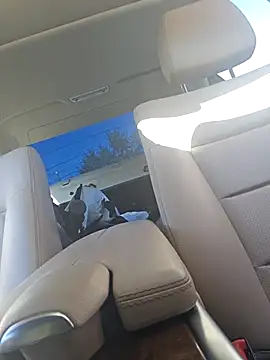 UncutHammer69 online show from September 2025 04:12:02 PM