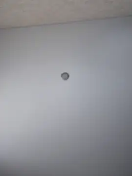 so cutes online show from March 2025 12:14:02 PM