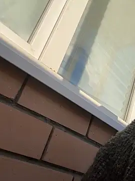 so cutes online show from March 2025 01:29:02 PM