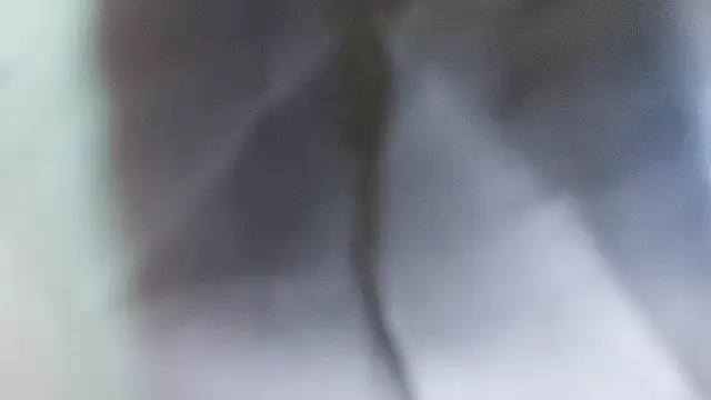 domjoab online show from February 2026 11:31:01 AM