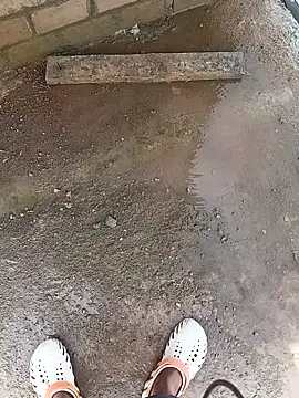 Bengali BULL1 online show from October 2025 04:33:01 AM